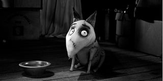 ‘Frankenweenie’ Review: Tim Burton Returns to Form With a (Very) Young Frankenstein